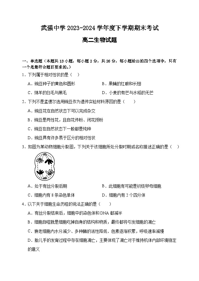河北省衡水市武强中学2023-2024学年高二下学期期末考试生物试题01