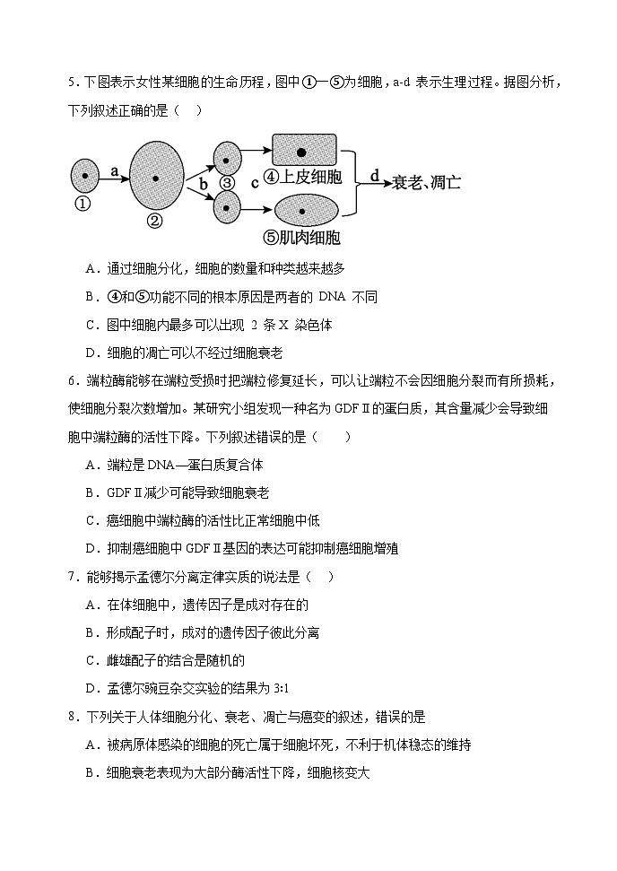 河北省衡水市武强中学2023-2024学年高二下学期期末考试生物试题02