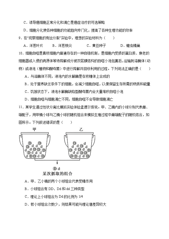 河北省衡水市武强中学2023-2024学年高二下学期期末考试生物试题03