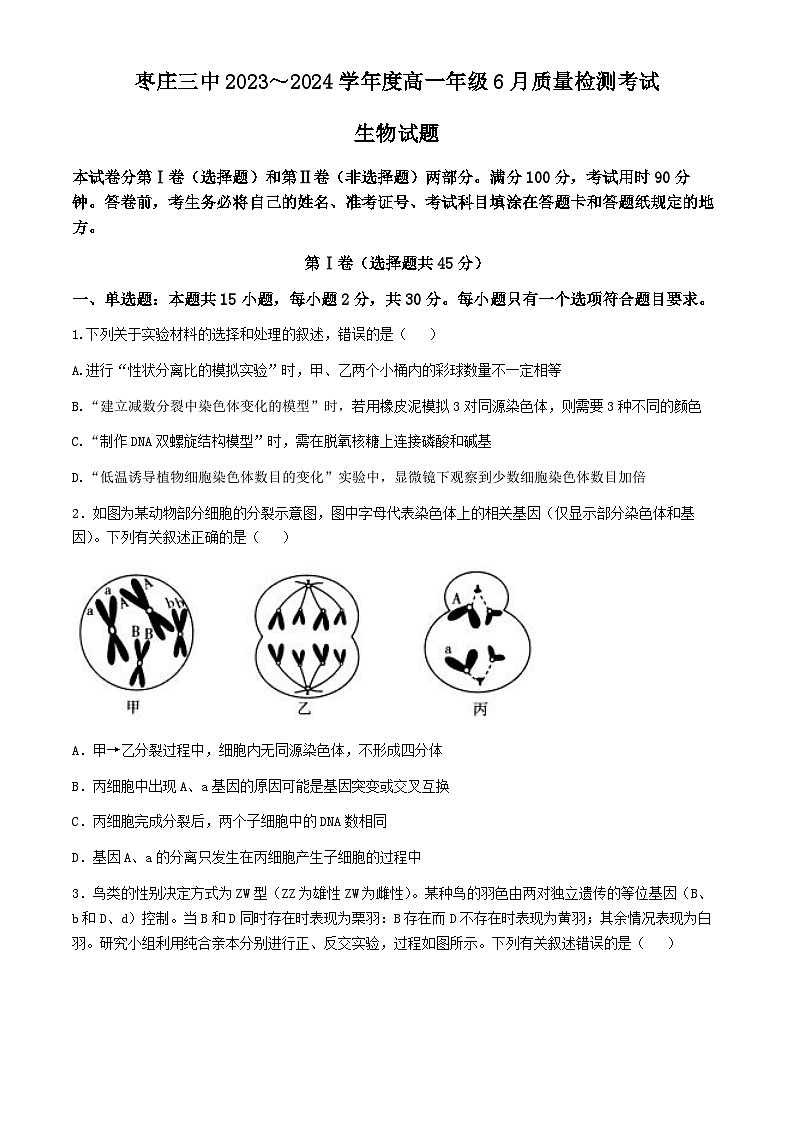 2024枣庄三中高一下学期6月月考试题生物含答案01