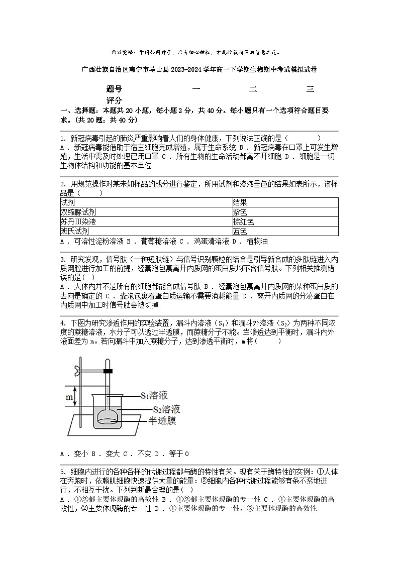 [生物]广西壮族自治区南宁市马山县2023-2024学年高一下学期期中考试模拟试卷第1页