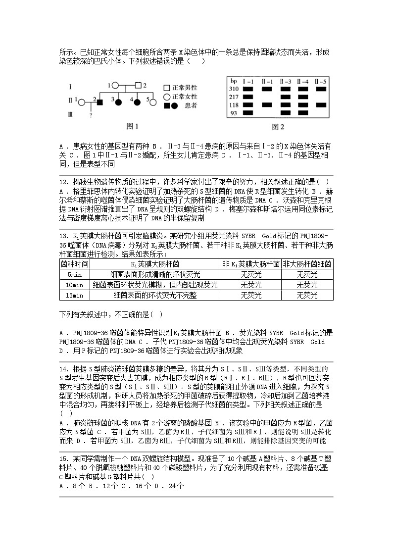 [生物]广西壮族自治区南宁市马山县2023-2024学年高一下学期期中考试模拟试卷第3页