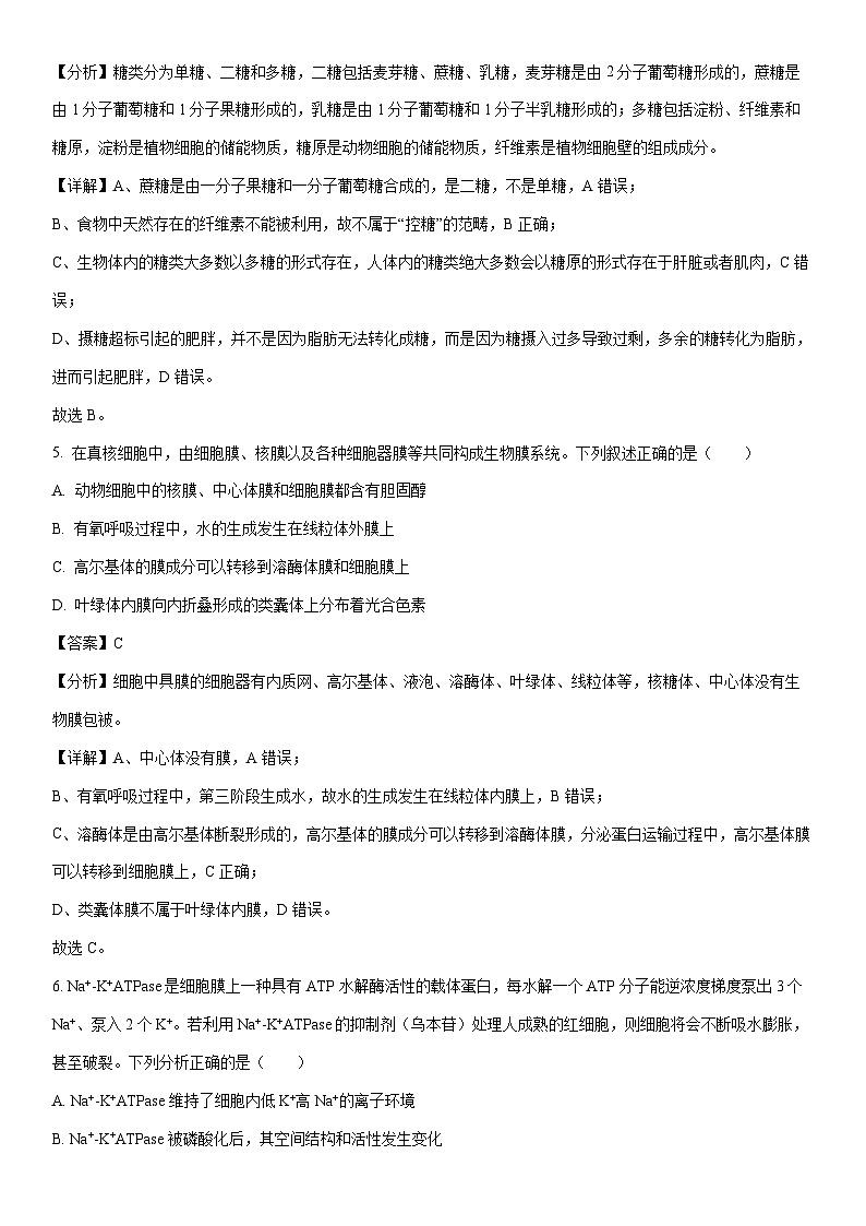 [生物]河南省洛阳市2023-2024学年高二下学期6月期末试卷（解析版）第3页