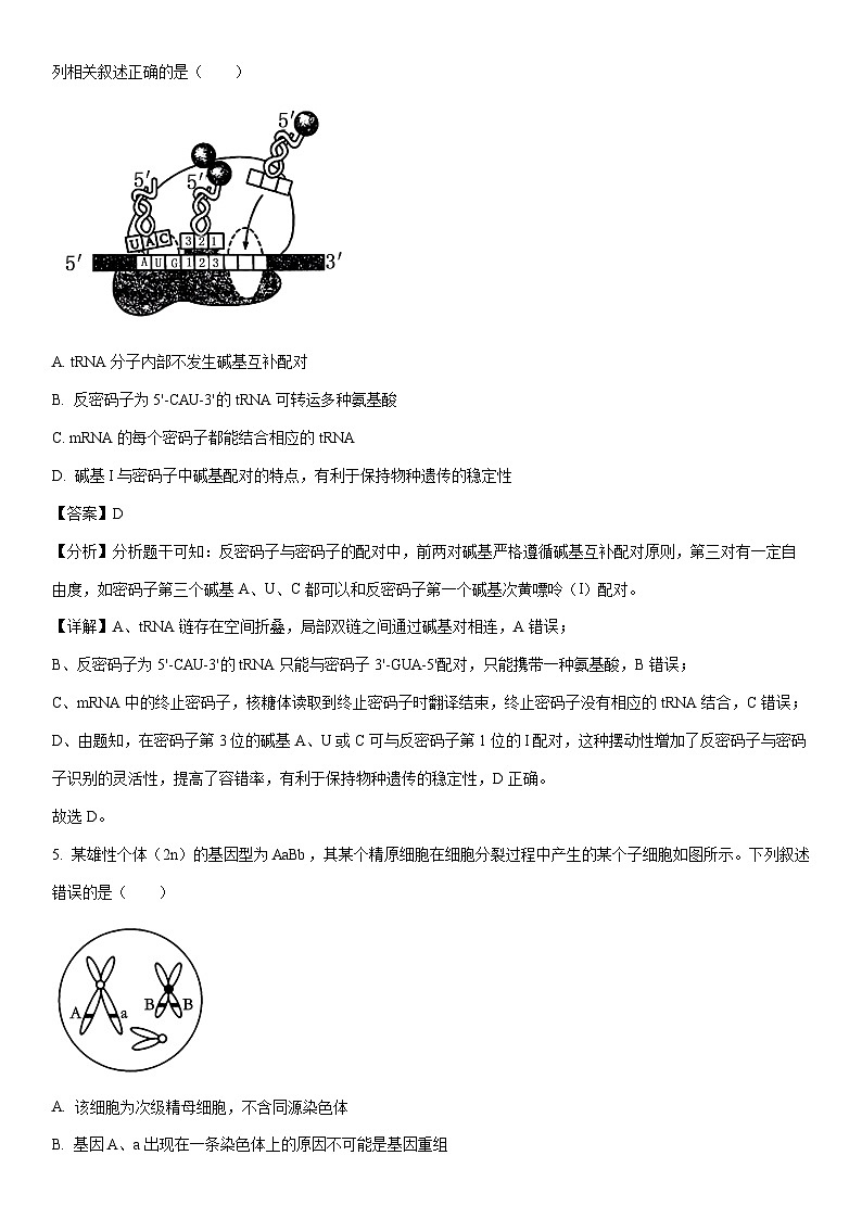 [生物]山东省菏泽市鄄城县2023-2024学年高一下学期5月月考试题（解析版）第3页