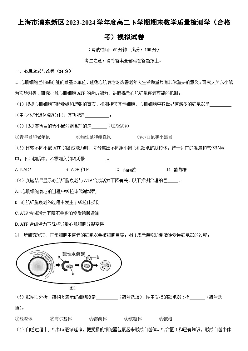 [生物]上海市浦东新区2023-2024学年度高二下学期期末教学质量检测学（合格考）模拟试卷（解析版）01