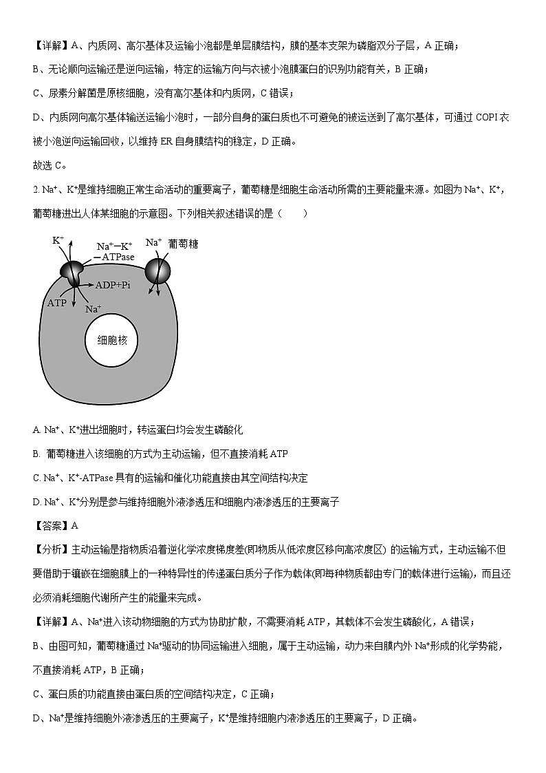[生物]江西省多校联考2023-2024学年高二下学期6月摸底期末考试试题（解析版）02