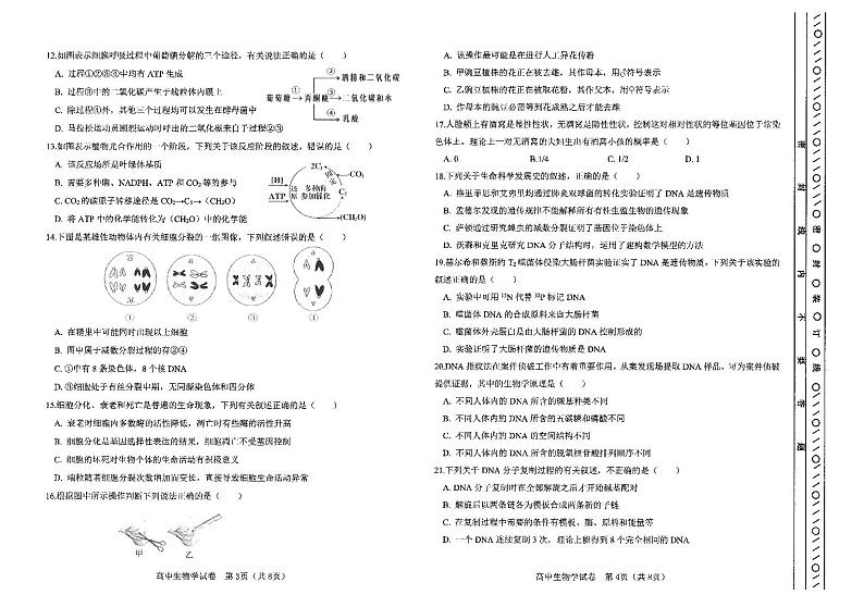 2024年天津市普通高中学业水平合格性考试河东区模拟生物试卷02