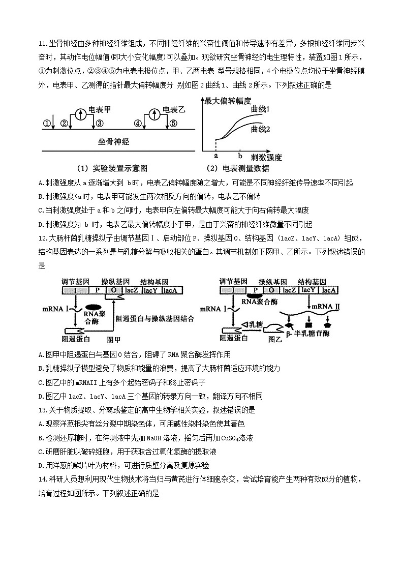 浙江省宁波市镇海区镇海中学2023-2024学年高二下学期期末考试生物学试卷（含答案）03