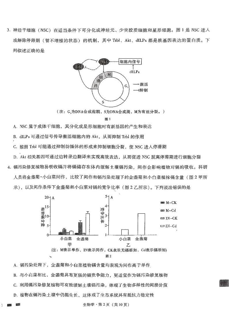 生物试题第2页