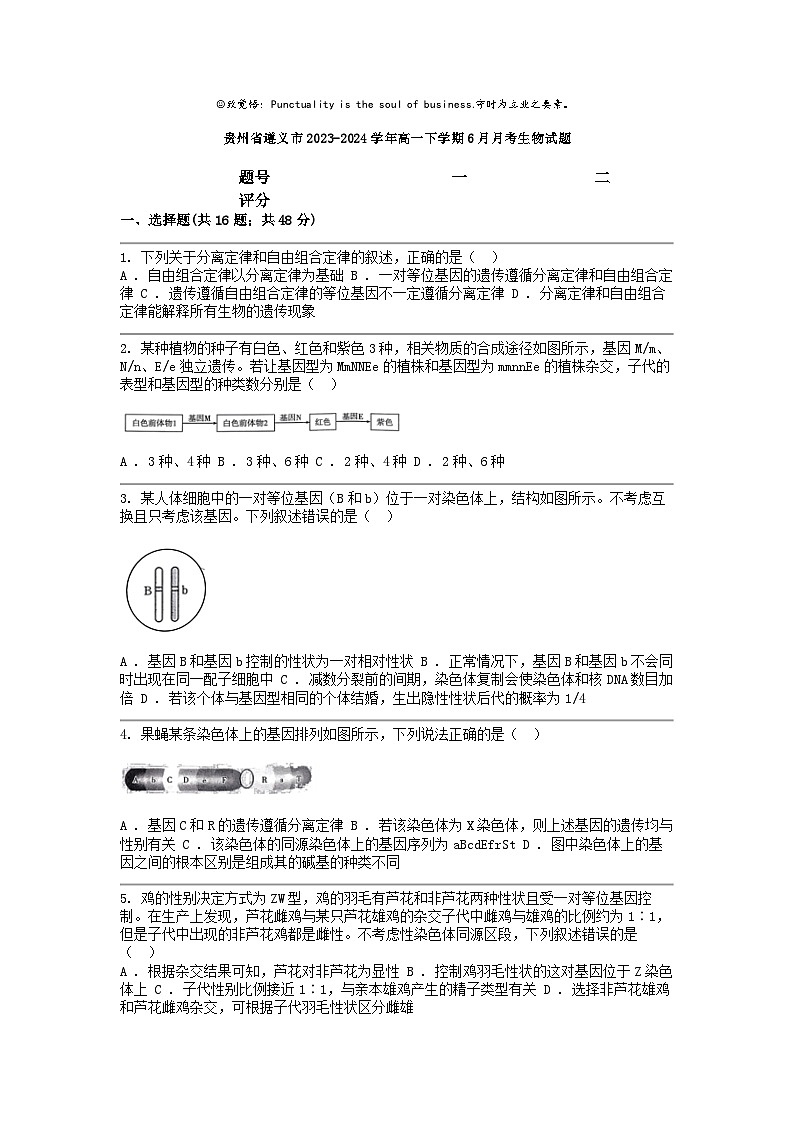 [生物]贵州省遵义市2023-2024学年高一下学期6月月考试题01