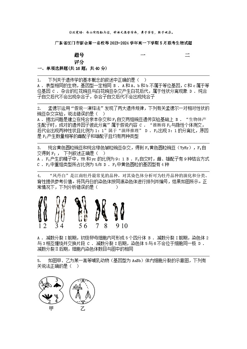 [生物]广东省江门市新会第一名校等2023-2024学年高一下学期5月联考试题01