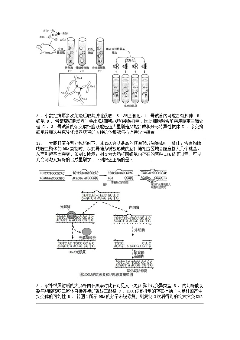 [生物]广东省梅州市梅县区梅雁名校2023-2024学年高二下学期5月月考试题第3页