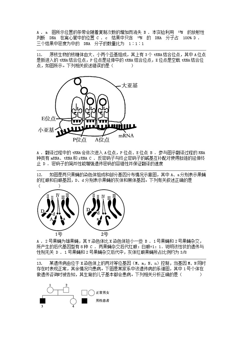 [生物]四川省南充市顺庆区南充高级名校2023-2024学年高一下学期5月月考试题03