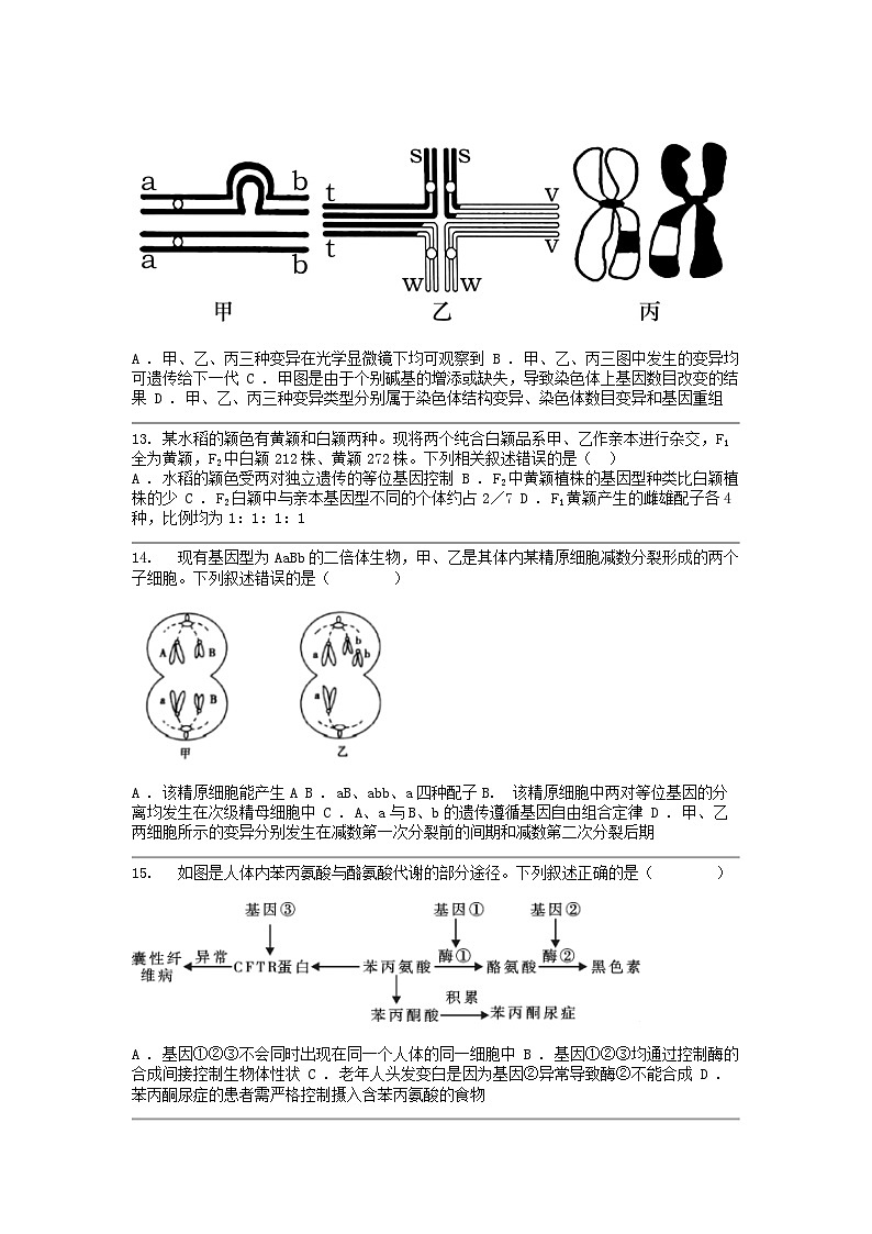 [生物]四川省凉山州民族名校2023-2024学年高一下学期5月月考试题第3页