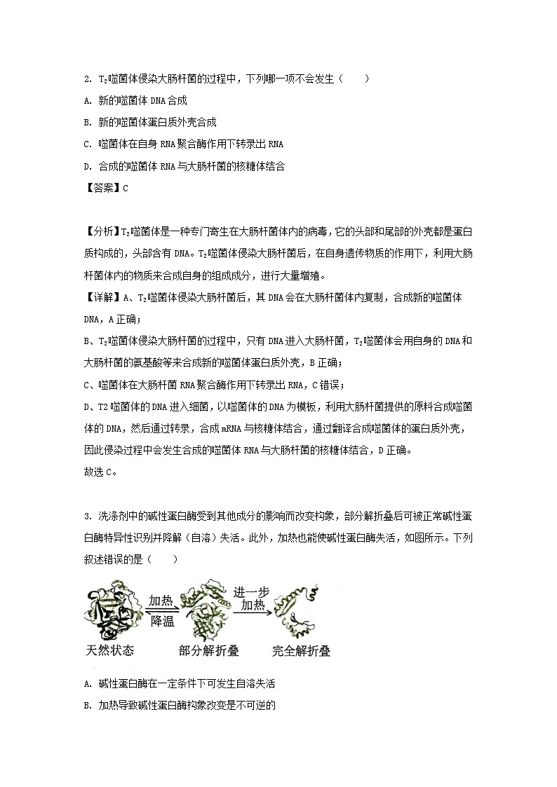 2022年湖南高中学业水平学考选择性生物真题及答案02