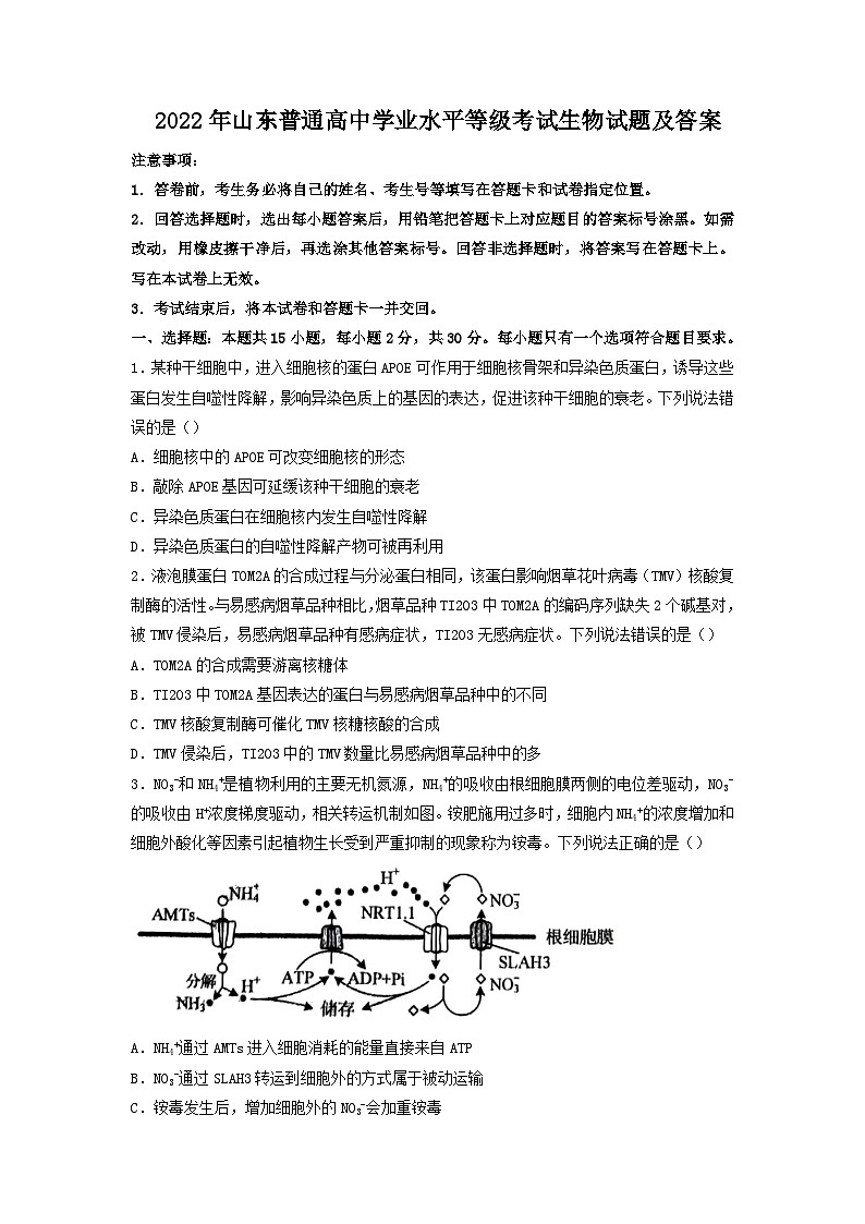 2022年山东普通高中学业水平等级考试生物试题及答案01