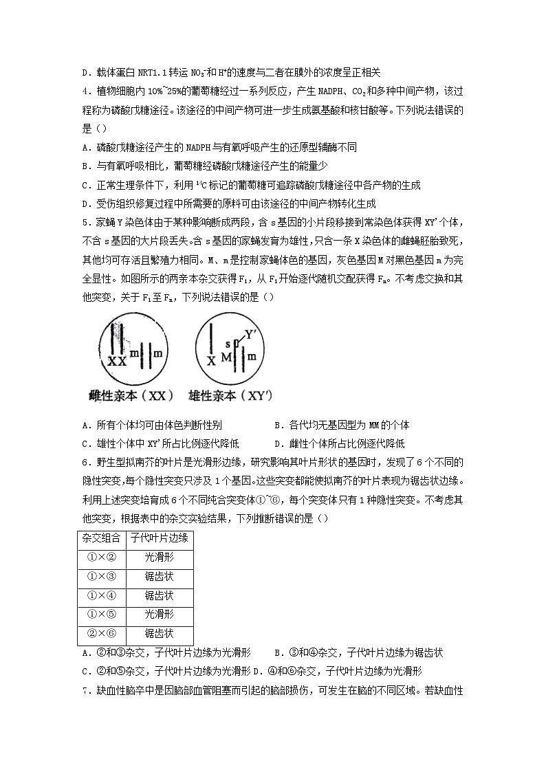2022年山东普通高中学业水平等级考试生物试题及答案02