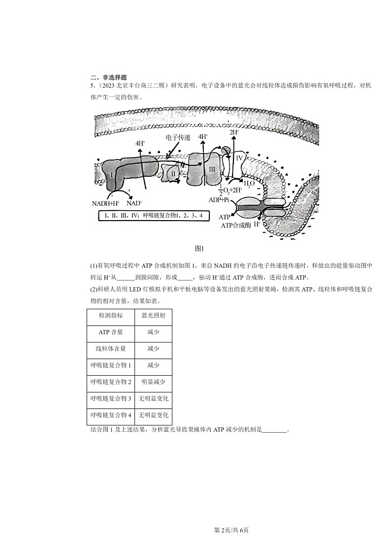 [生物][二模]2020～2024北京高三试题分类汇编：细胞的衰老和死亡02