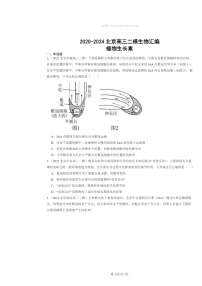 [生物][二模]2020～2024北京高三试题分类汇编：植物生长素