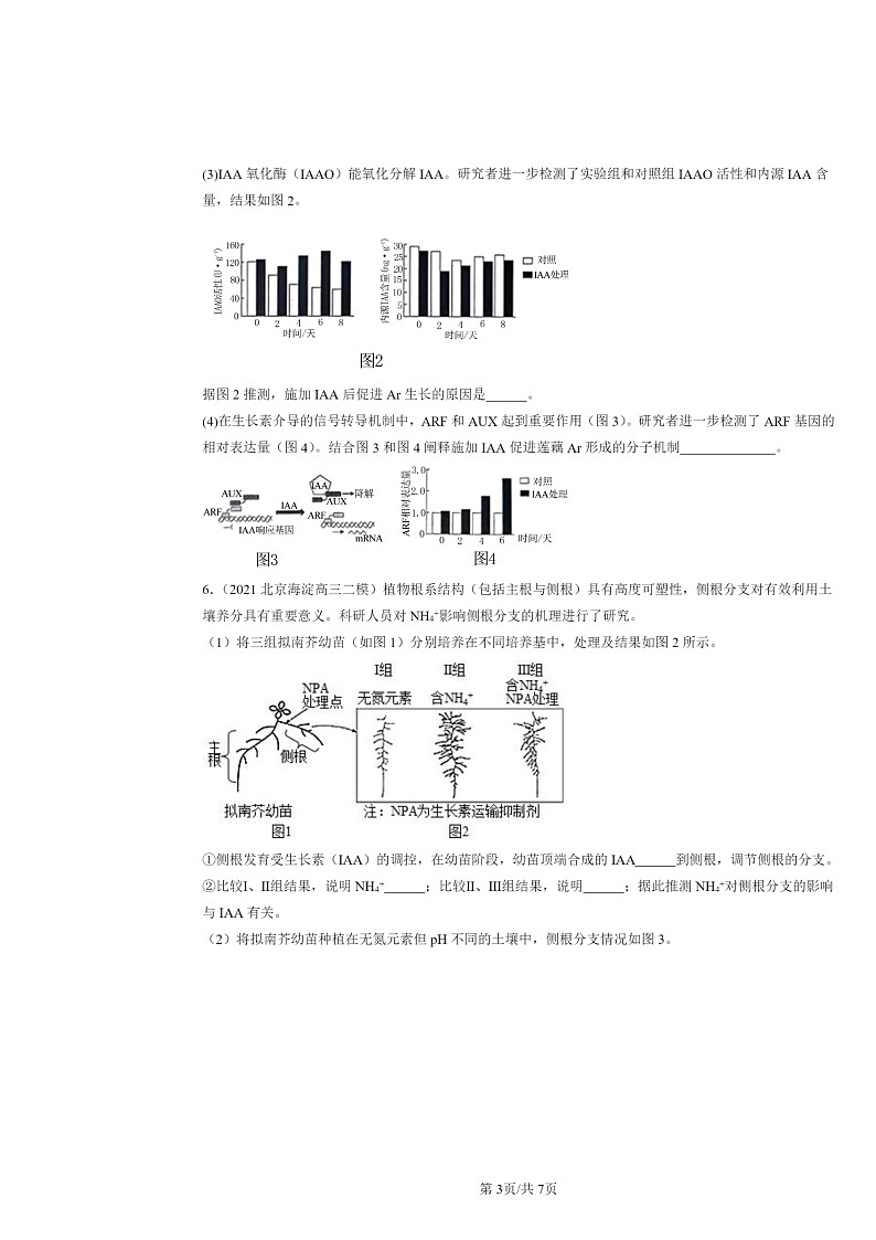 [生物][二模]2020～2024北京高三试题分类汇编：植物生长素03