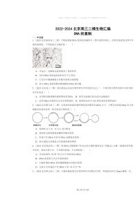 [生物][二模]2022～2024北京高三试题分类汇编：DNA的复制