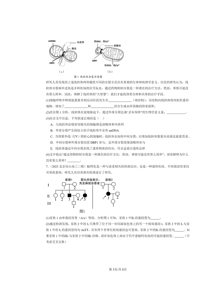 [生物][二模]2022～2024北京高三试题分类汇编：伴性遗传第3页