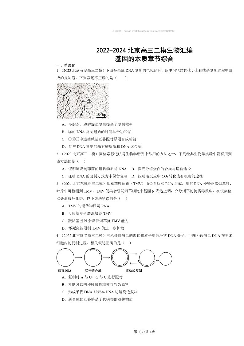 [生物][二模]2022～2024北京高三试题分类汇编：基因的本质章节综合01