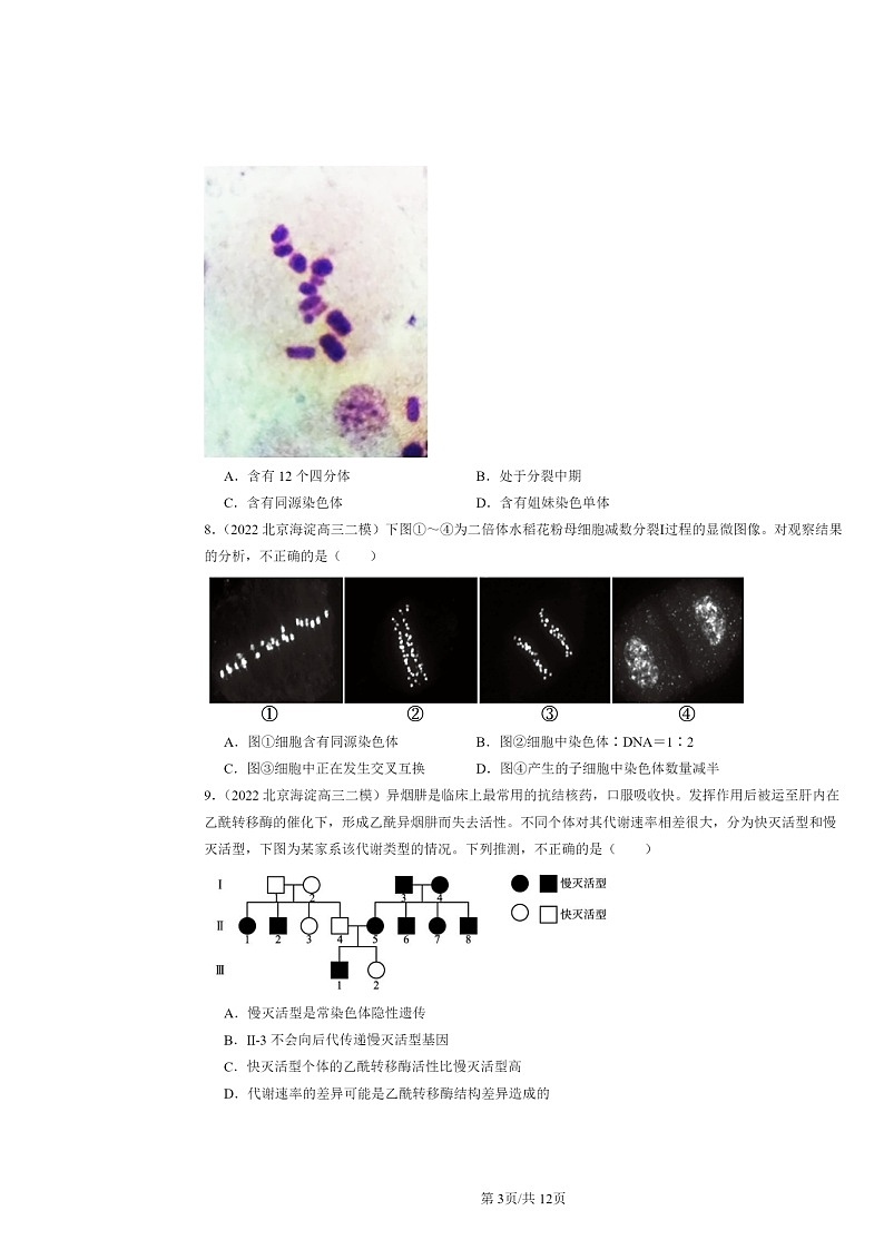 [生物][二模]2022～2024北京高三试题分类汇编：基因和染色体的关系章节综合第3页