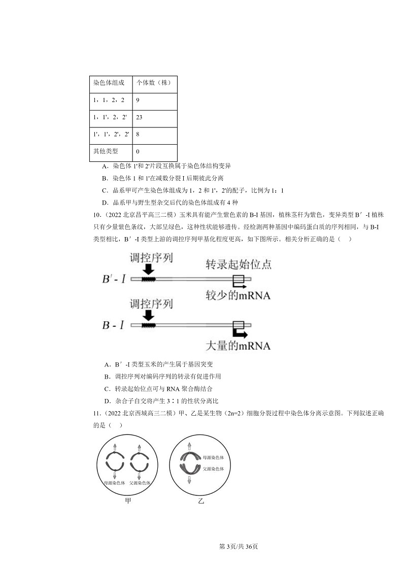 [生物][二模]2022～2024北京高三试题分类汇编：基因突变及其他变异章节综合第3页