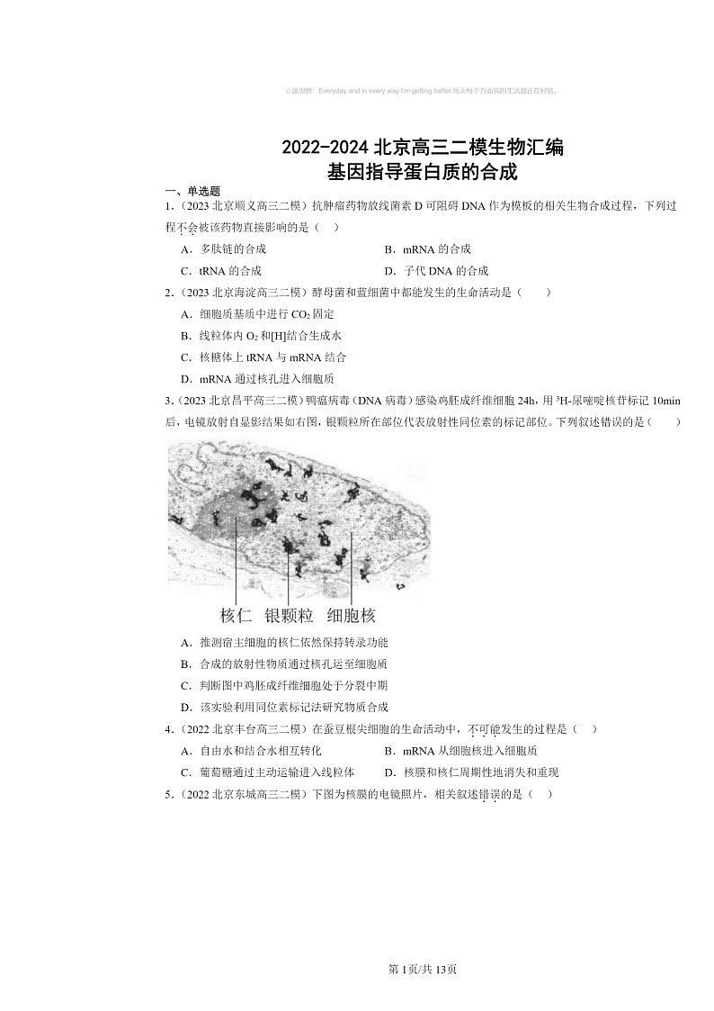 [生物][二模]2022～2024北京高三试题分类汇编：基因指导蛋白质的合成第1页