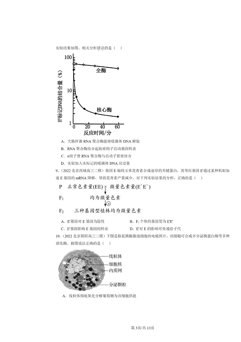 [生物][二模]2022～2024北京高三试题分类汇编：基因指导蛋白质的合成第3页