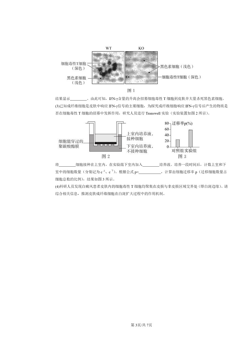 [生物][二模]2022～2024北京高三试题分类汇编：免疫失调第3页