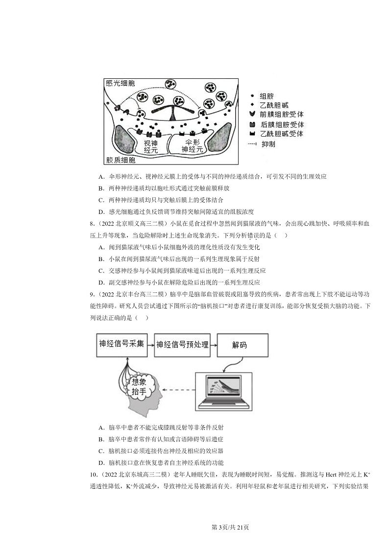 [生物][二模]2022～2024北京高三试题分类汇编：神经调节章节综合第3页