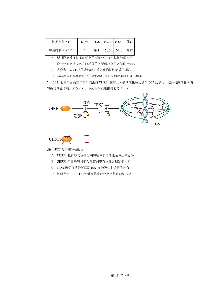 [生物][二模]2022～2024北京高三试题分类汇编：细胞的增殖第3页