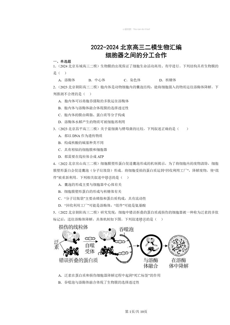 [生物][二模]2022～2024北京高三试题分类汇编：细胞器之间的分工合作第1页