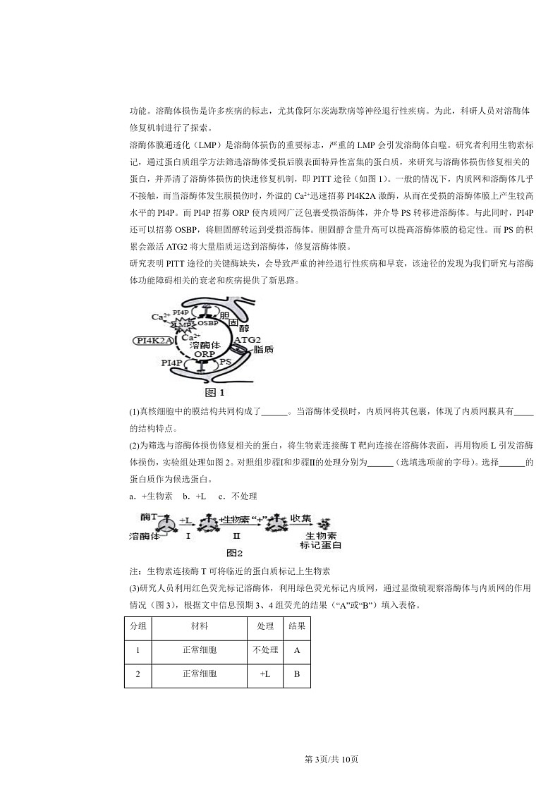 [生物][二模]2022～2024北京高三试题分类汇编：细胞器之间的分工合作第3页