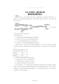 [生物][二模]2024北京高三试题分类汇编：基因的表达章节综合