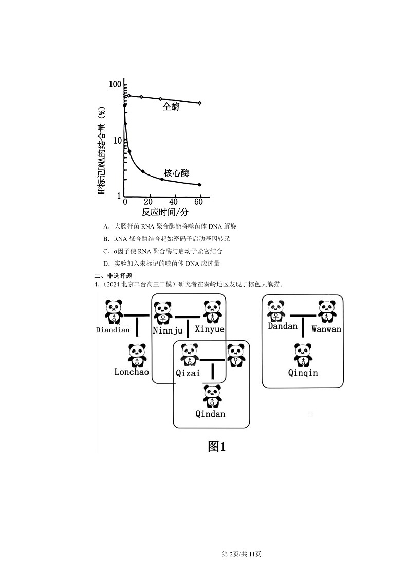 [生物][二模]2024北京高三试题分类汇编：基因的表达章节综合02