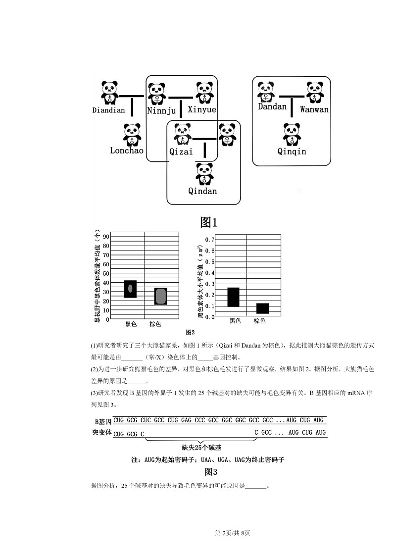 [生物][二模]2024北京高三试题分类汇编：基因的表达与性状关系02