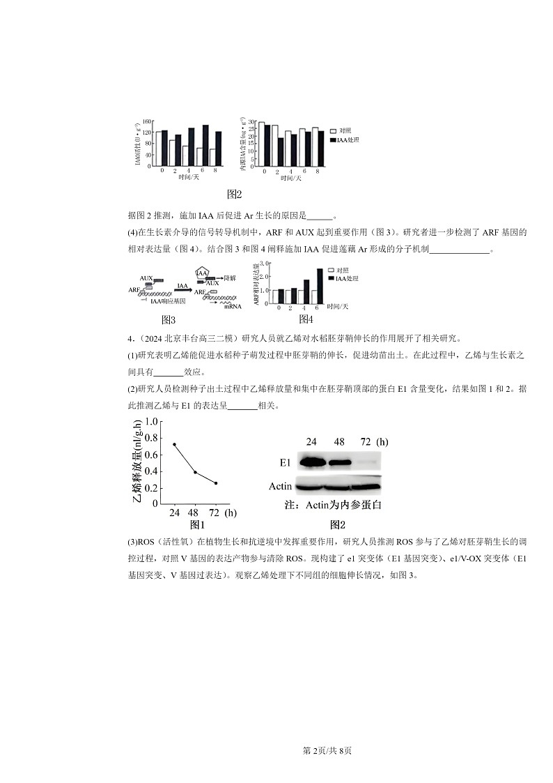 [生物][二模]2024北京高三试题分类汇编：植物生命活动的调节章节综合第2页