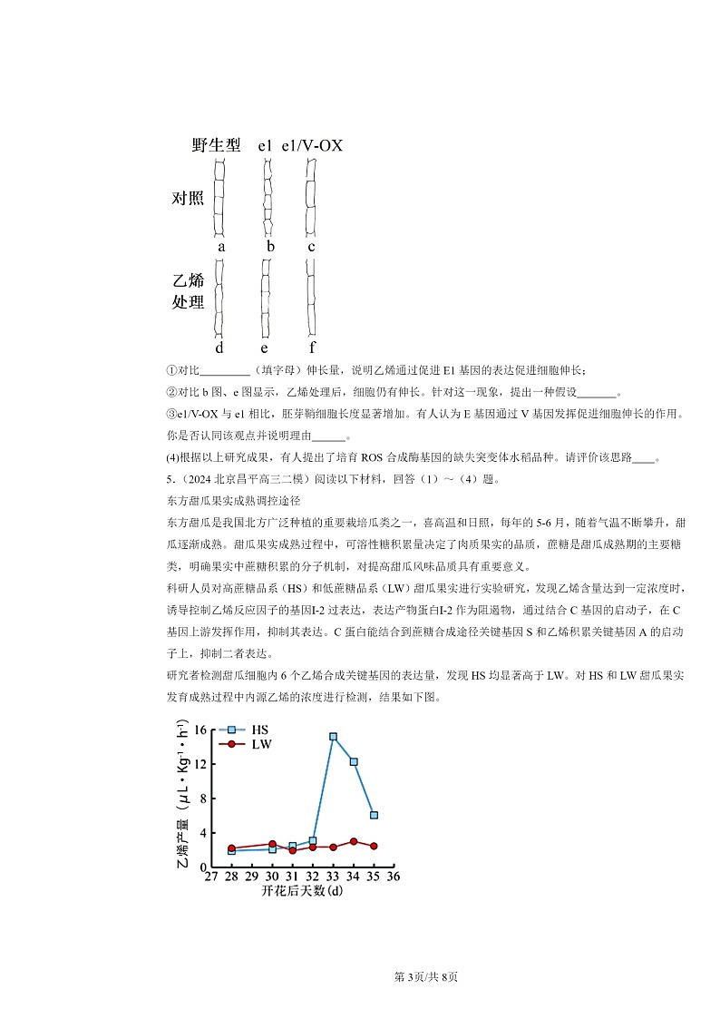 [生物][二模]2024北京高三试题分类汇编：植物生命活动的调节章节综合第3页