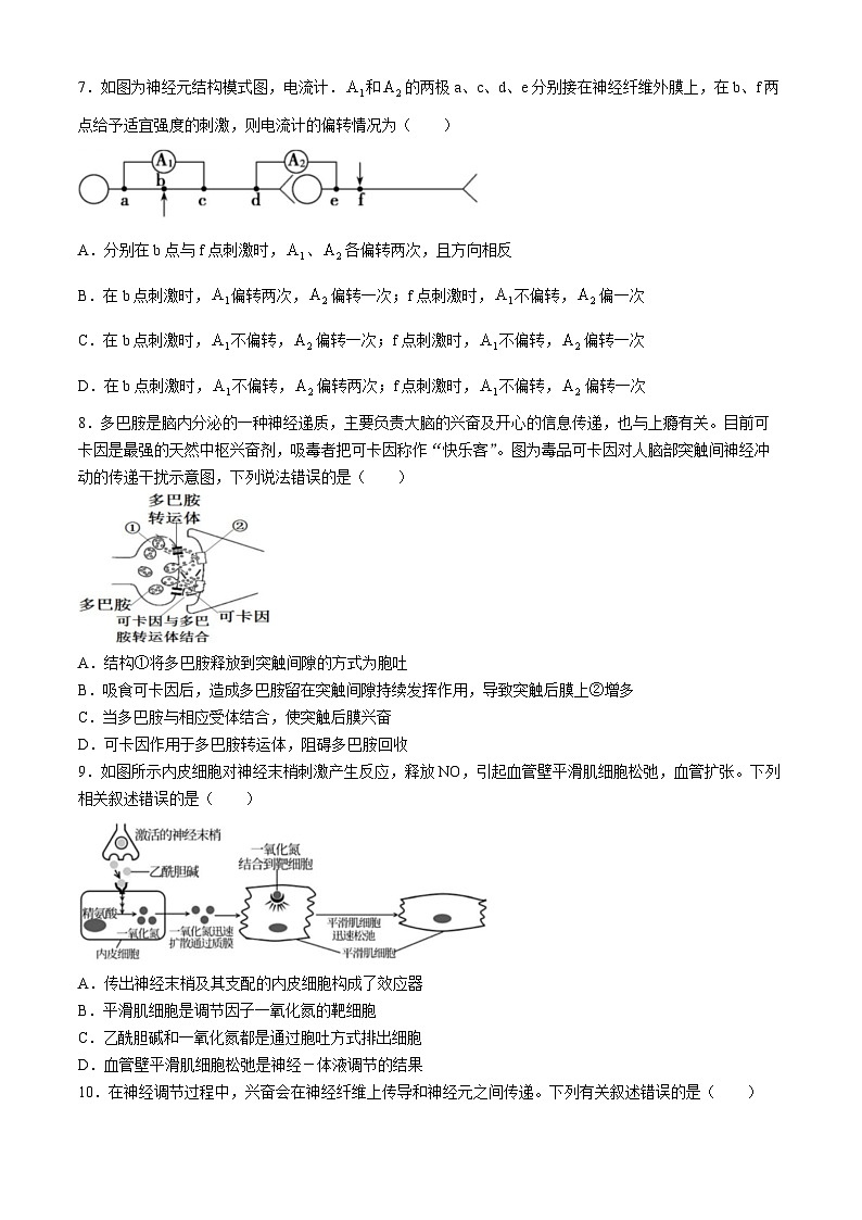安徽省芜湖市第十二中学2021-2022学年高二上学期期中考试生物试卷02