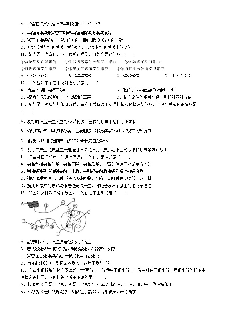 安徽省芜湖市第十二中学2021-2022学年高二上学期期中考试生物试卷03