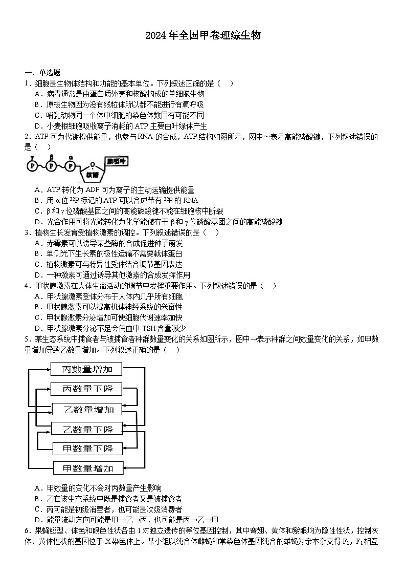 2024年全国甲卷高考生物真题试题（原卷版+含解析）01