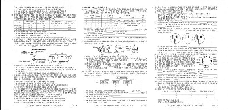生物丨新高中创新联盟TOP二十名校2025届新高三6月调研考试生物试卷及答案第2页