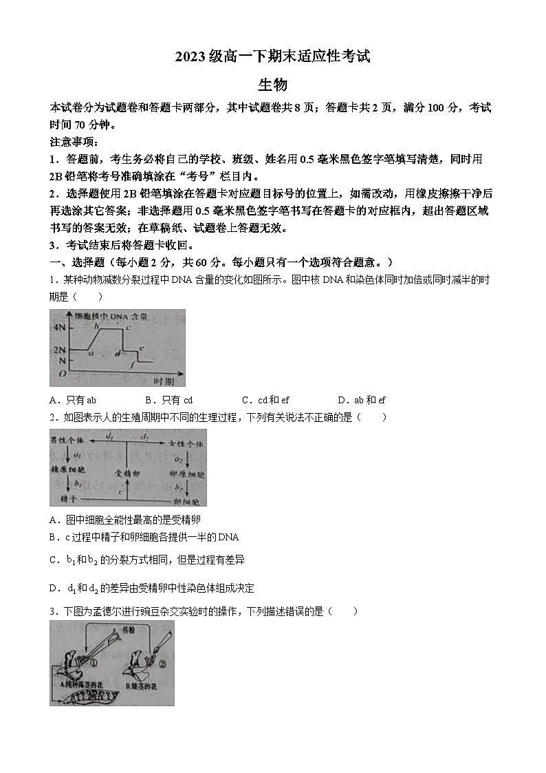 四川省绵阳市三台中学校2023-2024学年高一下学期末适应性考试生物试题01