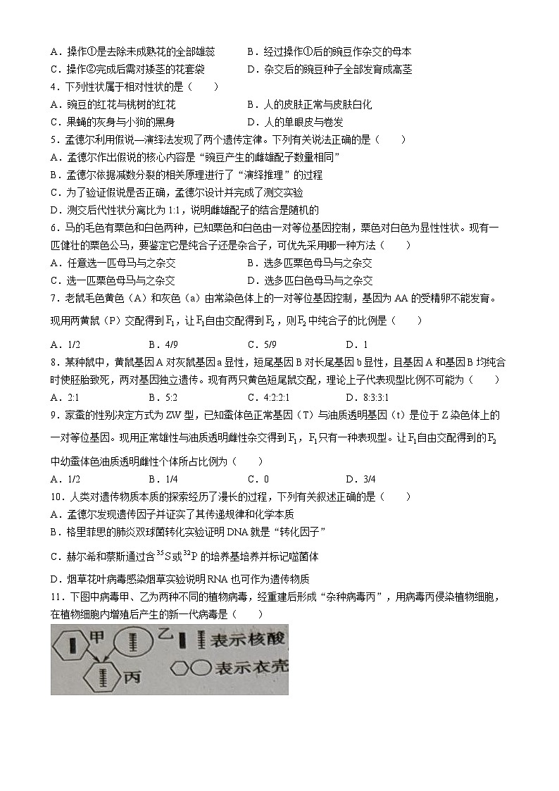 四川省绵阳市三台中学校2023-2024学年高一下学期末适应性考试生物试题02