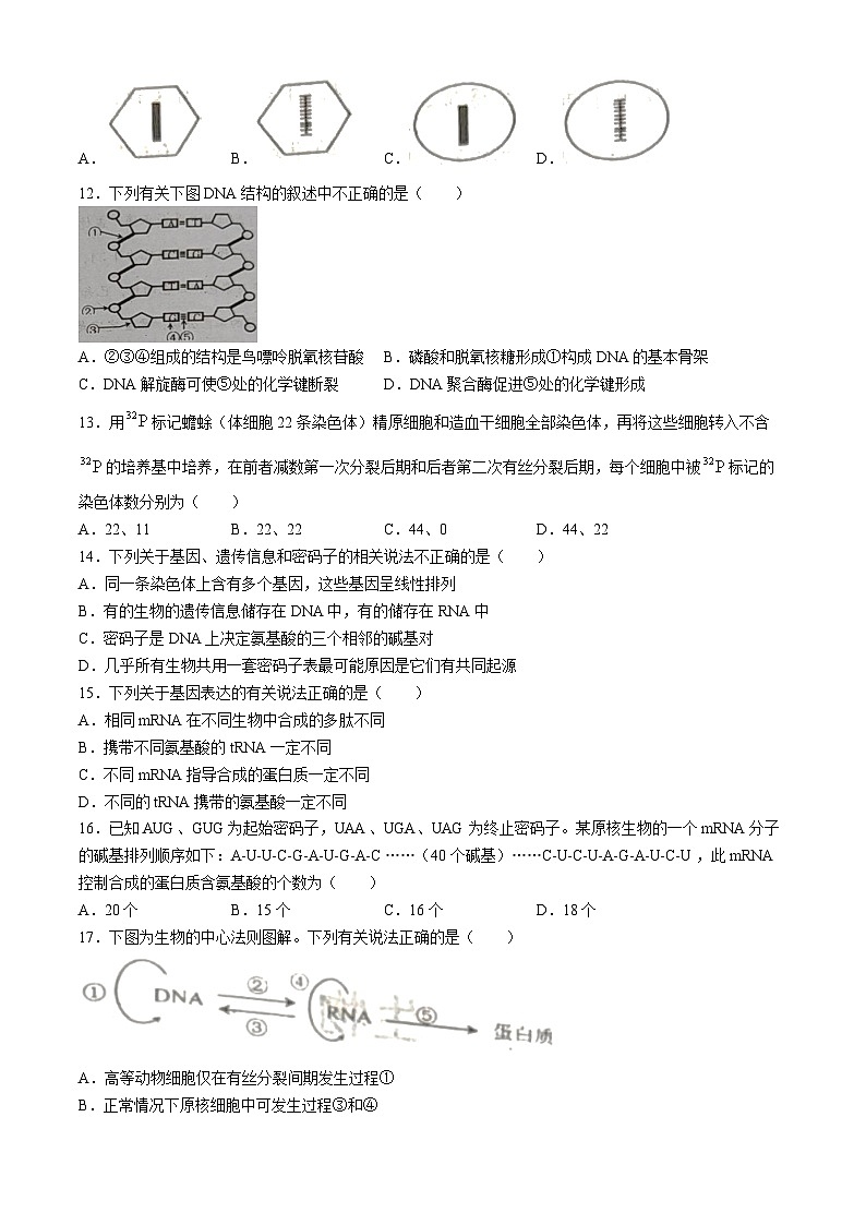 四川省绵阳市三台中学校2023-2024学年高一下学期末适应性考试生物试题03
