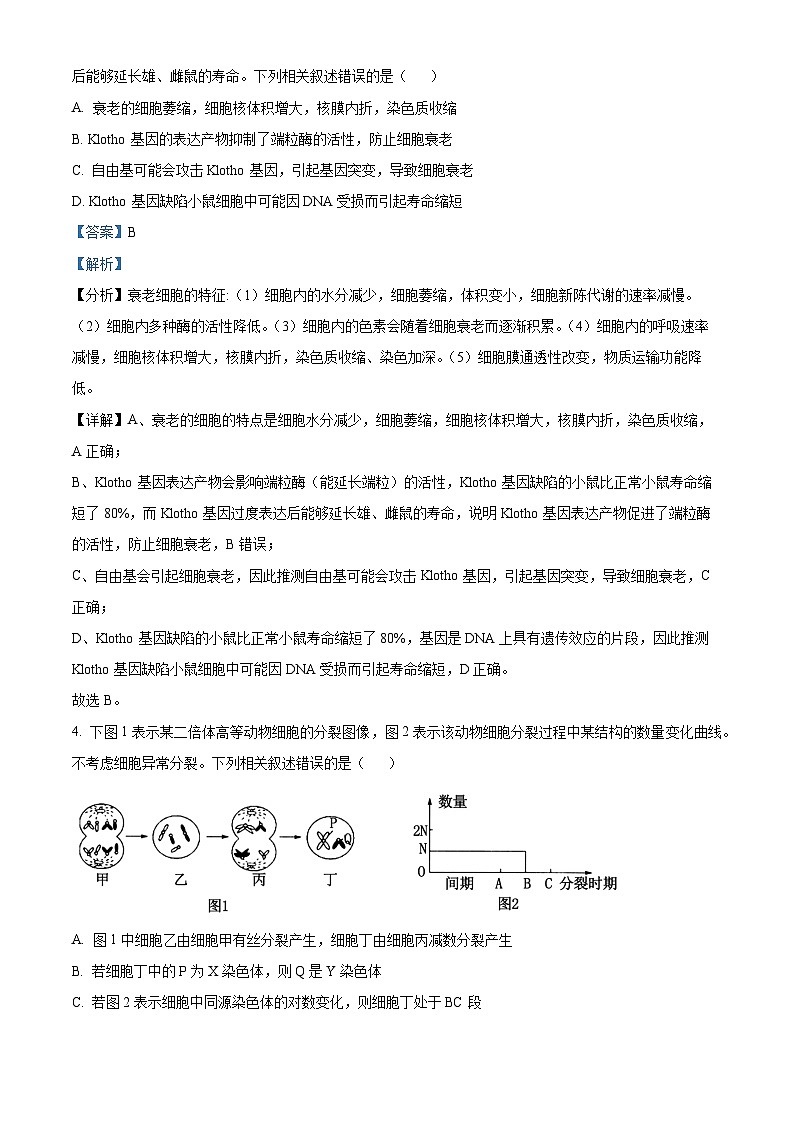 江西省2024届重点中学盟校高三下学期第二次联考生物试题（Word版附解析）03