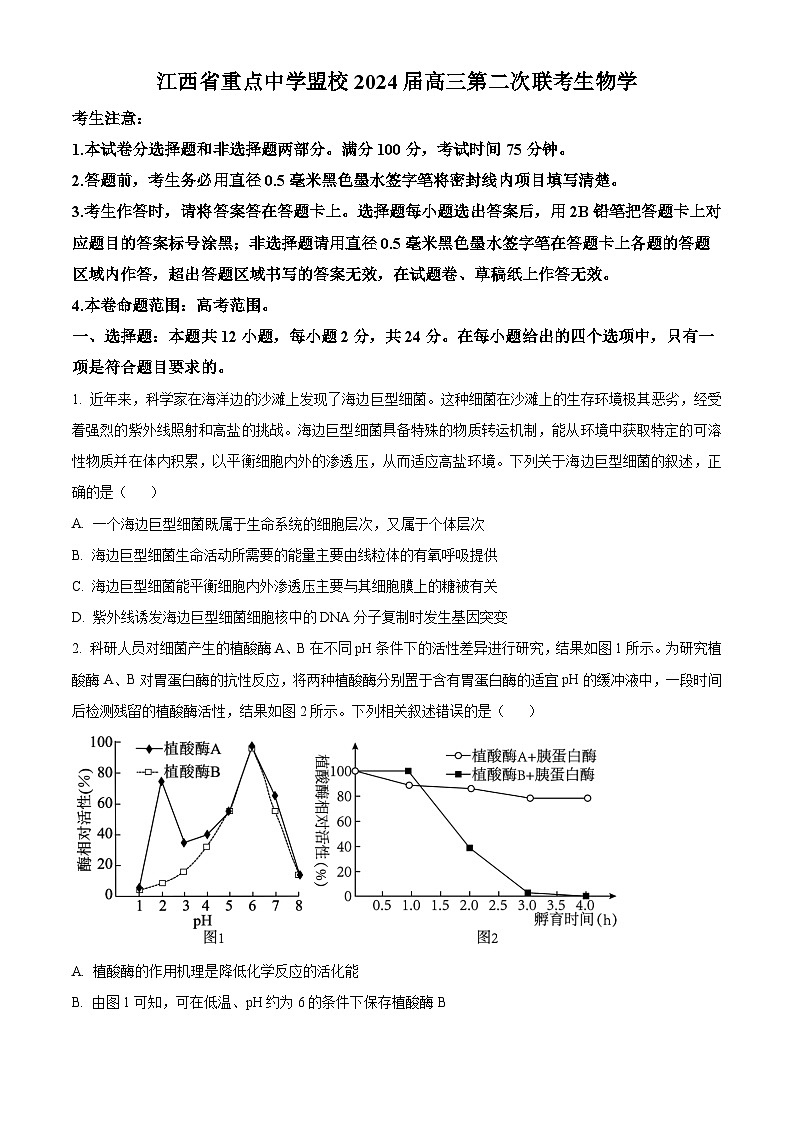 江西省2024届重点中学盟校高三下学期第二次联考生物试题（Word版附解析）01